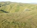 DSCN6083.JPG