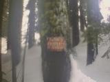 Pic_3462.jpg